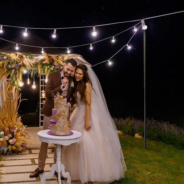 Alt view image 6 of 7 - 10 Ft String Light Pole Outdoor Metal Pole Aluminum with Side Hooks Patio Backyard Party 2 Pack