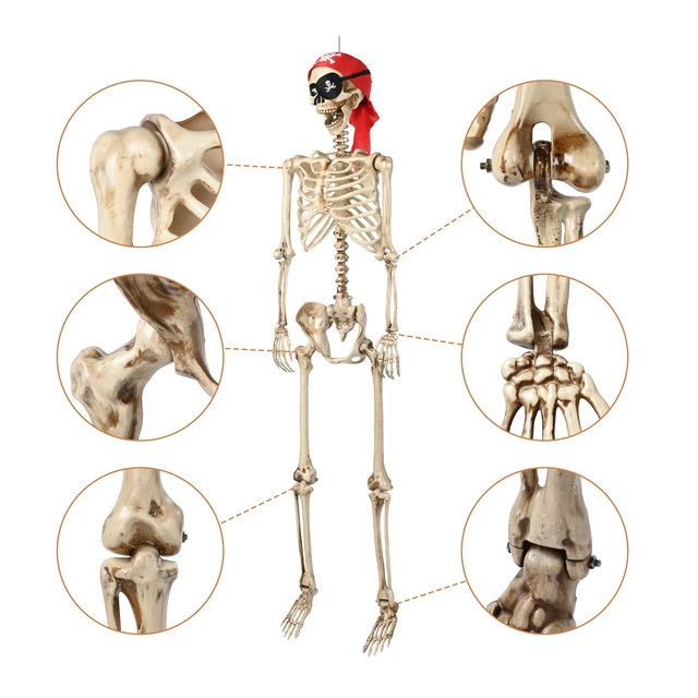 Alt view image 6 of 7 - Yescom Pirate Life Size Skeleton Poseable with Halloween Lights, Full Size Skeleton Human 5.4 Ft for Party Decorations Patio Garden Haunted House Props 2025