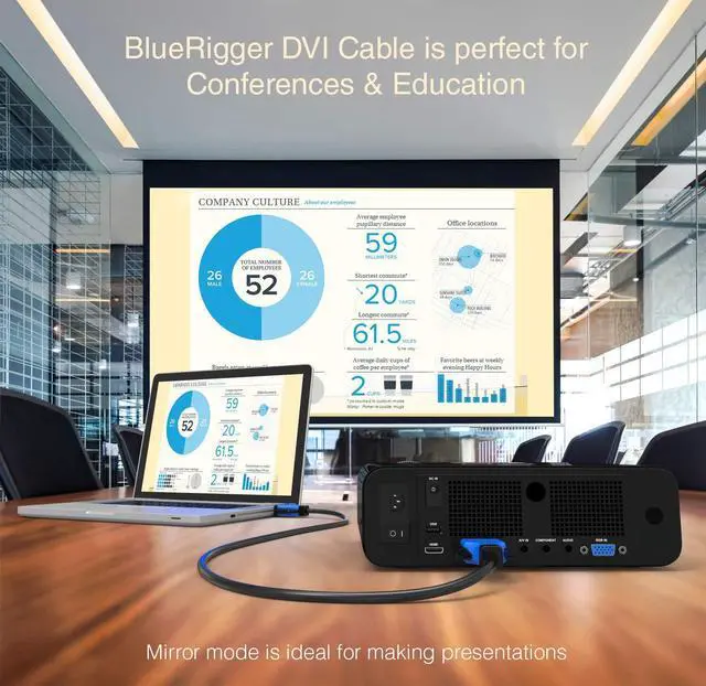 Alt view image 4 of 5 - BlueRigger DVI to DVI Monitor Cable (50FT, 24+1 Dual Link, Digital Video Cable, Male to Male) - for Gaming, DVD, Laptops, HDTV and Projector