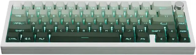 Alt view image 5 of 5 - mintcaps PBT Doubleshot Keycaps 134 Keys Gradient Green Backlit OEM Profile Keycaps Side Print Shine Through Custom Keycaps Set for 60% 65% 75% 100% Cherry Gateron MX Switches Mechanical Keyboard