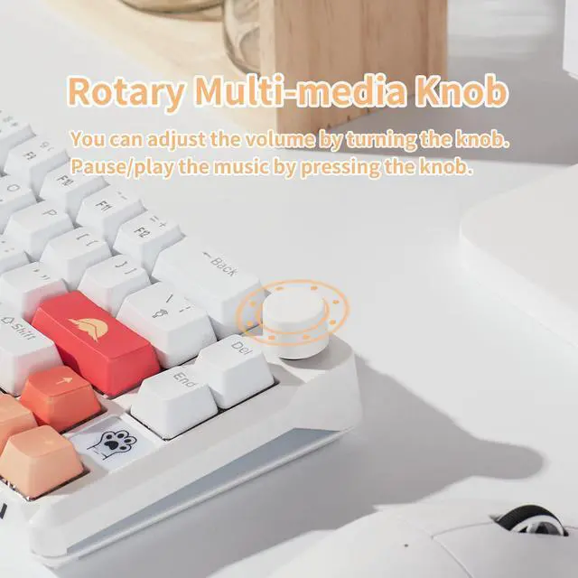 Alt view image 5 of 5 - SUEHIODHY A68 Hot Swappable Mechanical Keyboard 68 Keys Backlit RGB Gaming Keyboard with Multimedia Volume Knob for Win/Mac (Dustproof Tea Switch)