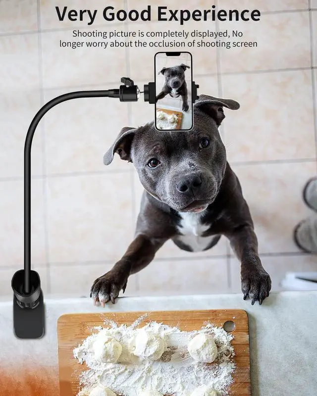 Alt view image 5 of 7 - Gooseneck Phone Holder for Bed/Desk, Flexible Phone Holder with 360 Adjustable Clamp Clip, Overhead Phone Mount, for Cookie Decorating, Recording or Watching Video