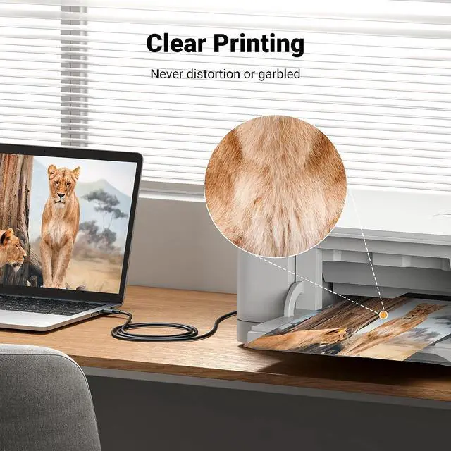 Alt view image 4 of 7 - USB Printer Cable - USB A to B Cable High-Speed Printer Cord Compatible with Hp Canon Brother   Epson Lexmark Xerox Piano Dac and More 10 FT