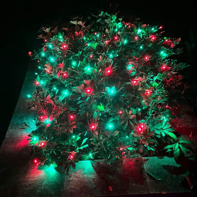 Alt view image 7 of 7 - HISHINY LED Christmas Net Lights Outdoor, 5ftx5ft 100LED Green Wire, Connectable Bush Mesh Net Lights String for Halloween Christmas Party,Shrub,Yard,TreeRed&Green
