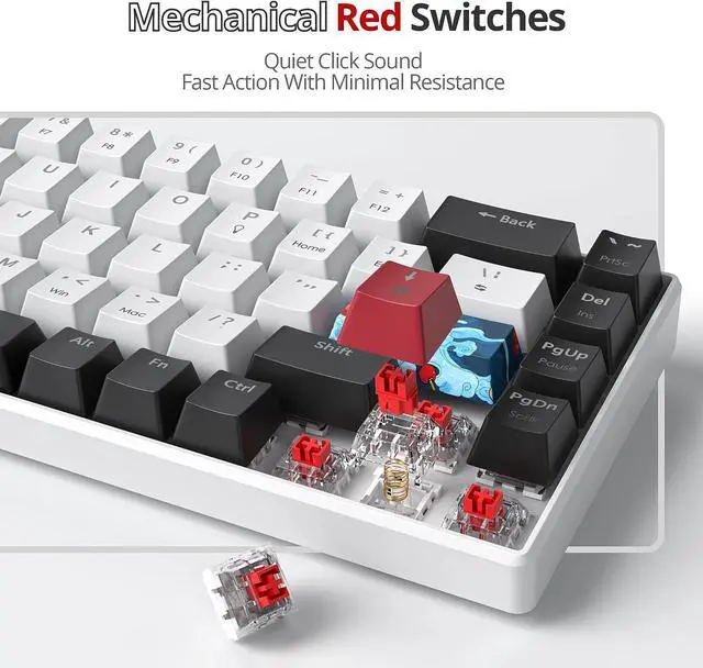Alt view image 3 of 7 - 60 Percent Gaming Keyboard 68 Keys Mechanical Keyboard LED Backlit Compact Wired Keyboard with Red Switch for Windows MAC PS4/5 Xbox Gamer(Black-White)
