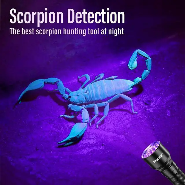 Alt view image 7 of 7 - UV Flashlight Black Light 21 LED 395nm Ultraviolet Rechargeable Flashlights UV Light Waterproof Portable BlackLight Flashlights for Pet Urine Detection Dry Stains Bed Bug Fluorescent Agent