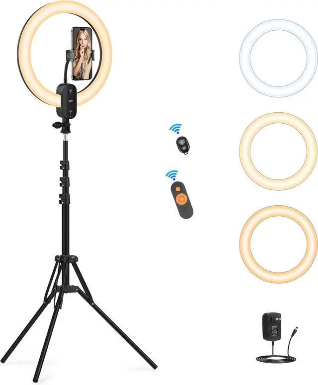 Main image of 12 Selfie Ring Light with 63 Tripod Stand/Phone Holder 20W LED Circle Lights Dimmable 3000-6500K with Remote Control and Built-in Rechargeable Battery for Vlog Makeup YouTube Camera