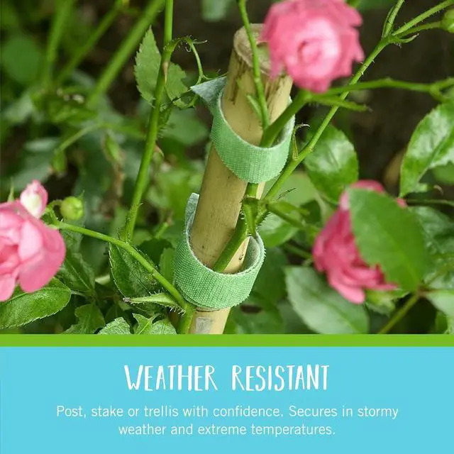 Alt view image 3 of 6 - 90648 ONE-WRAP Garden Ties | Plant Supports for Effective Growing | Strong Grips are Reusable and Adjustable | Cut-to-Length 75 ft x 1/2 in Green-Recycled Plastic