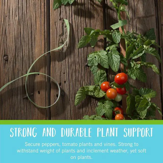 Alt view image 4 of 6 - 90648 ONE-WRAP Garden Ties | Plant Supports for Effective Growing | Strong Grips are Reusable and Adjustable | Cut-to-Length 75 ft x 1/2 in Green-Recycled Plastic