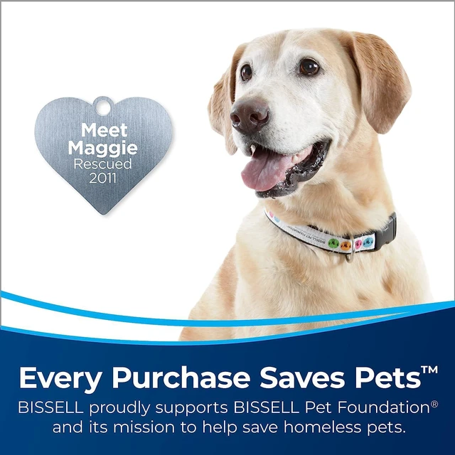 Alt view image 2 of 7 - Bissell CleanView Rewind Pet Bagless Vacuum with Automatic Cord Rewind, Active Extension Wand for Hard-to-Reach Areas, Powerful Suction & Multi-Surface Cleaning, 3534