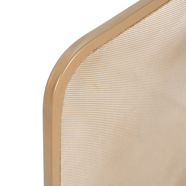 Alt view image 7 of 7 - Tahlia 1-Panel Iron Fireplace Screen 38" x 33", Golden Finish