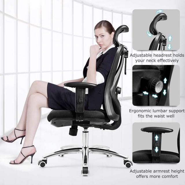 Giantex High Back Mesh Office Chair with Heating Headrest and Lumbar  Support Armrest, Ergonomic Computer Desk Chair, Executive Task Chair,  Swivel Home