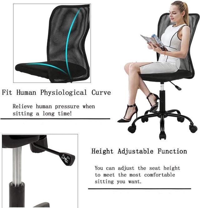 Ergonomic Office Chair with Lumbar Support Mesh Chair with Wheels Rolling Swivel  Back Support Adjustable Executive