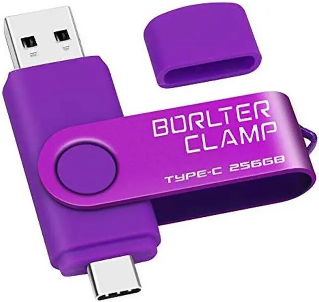 Main image of 256GB USB Type-C Flash Drive, BorlterClamp USB C 3.0 Jump Drive Memory Stick Dual Port for Android Smartphones Samsung Galaxy S10/S9/S8/Note 9, LG, Huawei, Tablets & Computer (Purple)