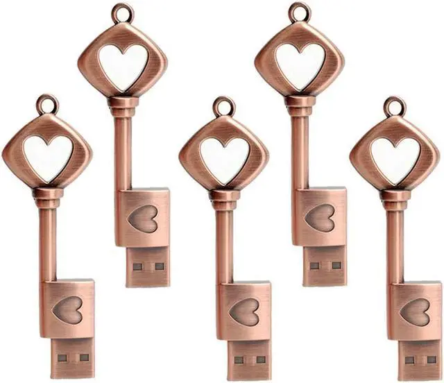 Main image of LEIZHAN 5 Pack 64GB Love Heart Key Flash Drive Vintage Thumb Drive Metal Jump Drive Cute Memory Stick Retro USB Stick Pendrive Valentine's Day Gift U Disk