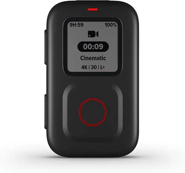 Main image of The Remote - Official Accessory