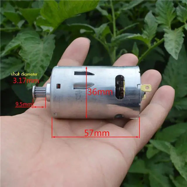 Alt view image 2 of 6 - 555 DC Motor Front Ball Bearing Motor Silent High Torque Low Speed Carbon Brush Motor 6V12V18V  2600-8200rpm Shaft Dia 3.17mm