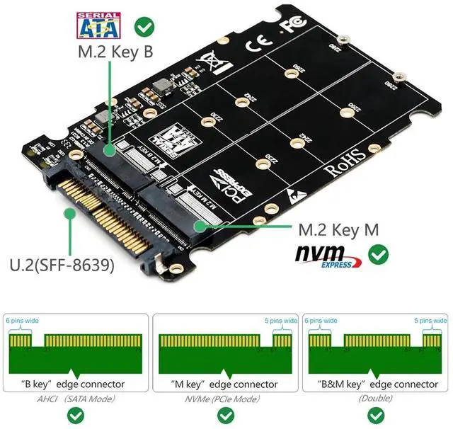 Main image of M.2 SSD to U.2 Adapter 2in1 M.2 NVMe and SATA-Bus NGFF SSD to PCI-e U.2 SFF-8639 Adapter PCIe M2 Converter for Desktop Computers