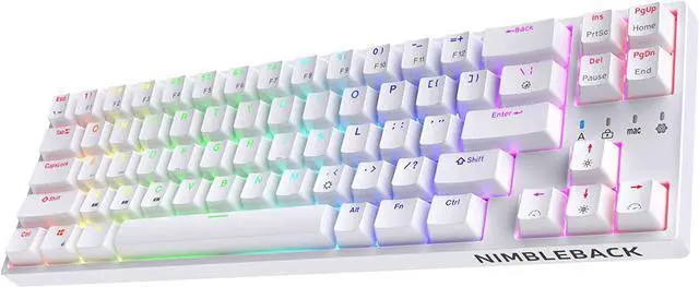 Main image of LTC NB681 Nimbleback Wired 65% Mechanical Keyboard, RGB Backlit Ultra-Compact 68 Keys Gaming Keyboard with Hot-Swappable Switch and Stand-Alone Arrow/Control Keys (Hot Swappable Blue Switch, White)