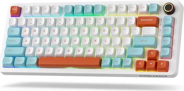 Main image of LTC Nimbleback NB832 Wireless 75% Gasket Mechanical Keyboard, Tri-Mode BT5.0/2.4G/USB-C Wired, Hot Swappable 82-Keys RGB Gaming Keyboard w/Software & 5 Layer Padding, Custom Linear Switch