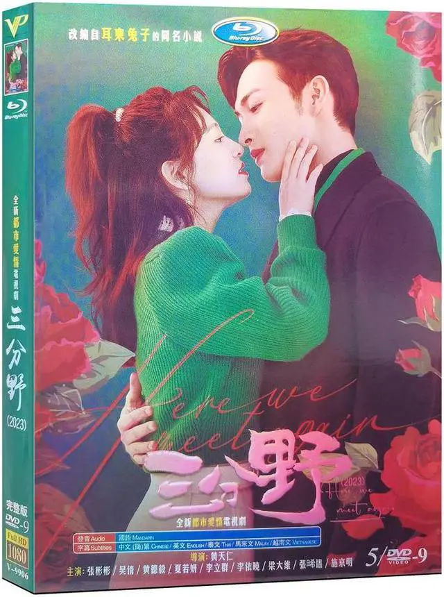 Main image of international version High Definition film Here We Meet Again (2023) DVD English subtitles China TV Series Chinese Pronunciation