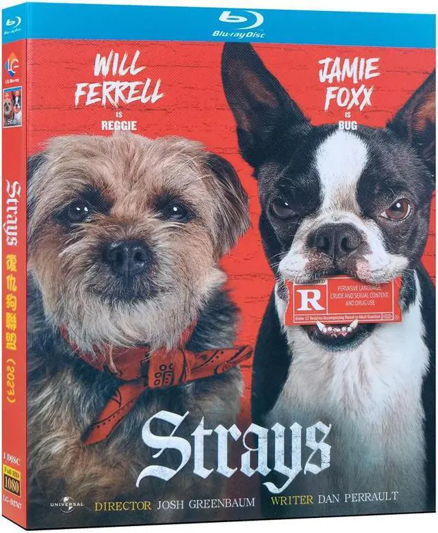 Main image of international version Blu-ray film Strays(2023)BD American movies English Subtitles