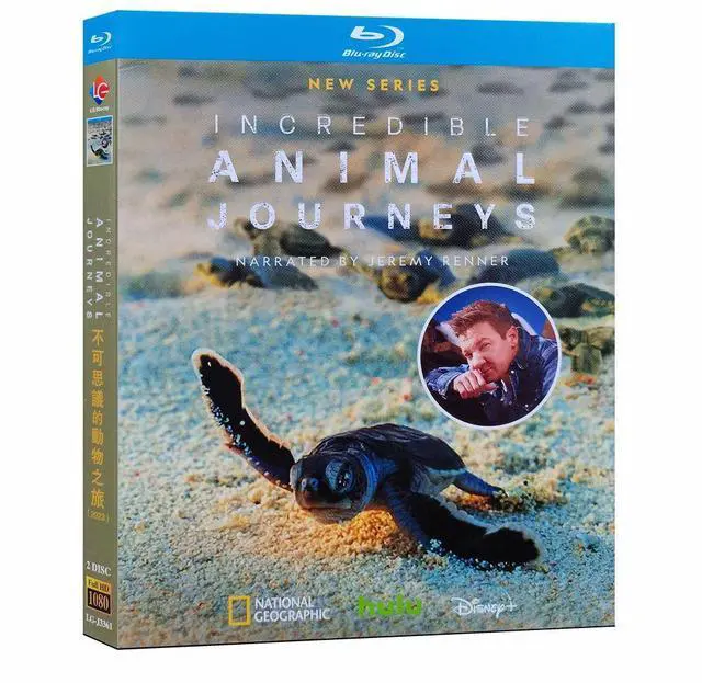 Main image of International version Blu-ray Incredible Animal Journeys(2023) English subtitles