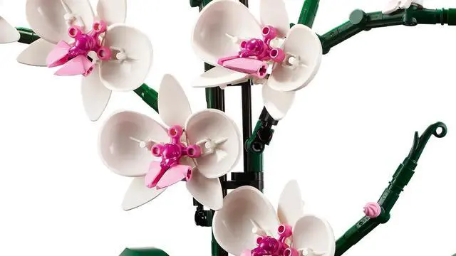 Alt view image 3 of 7 - international version BOTANICALS Series 10311 Orchid Number of parts 608 Suitable for age 18+ toy building blocks