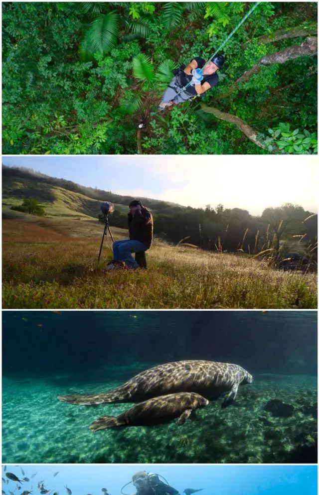 Alt view image 3 of 3 - international version Blu-ray Earthsounds(2024) English Pronunciation English subtitles