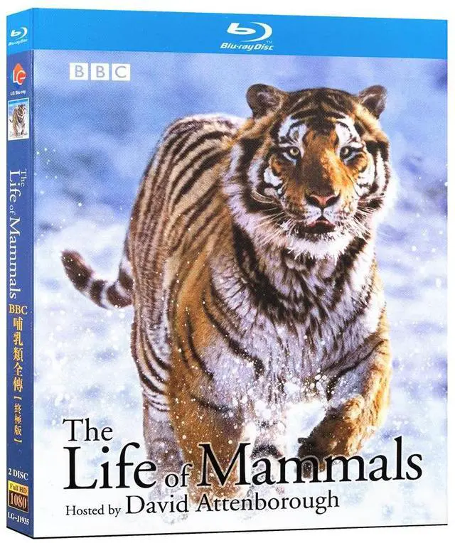 Main image of international version Blu-ray The Life of Mammals(2002) English Pronunciation English subtitles