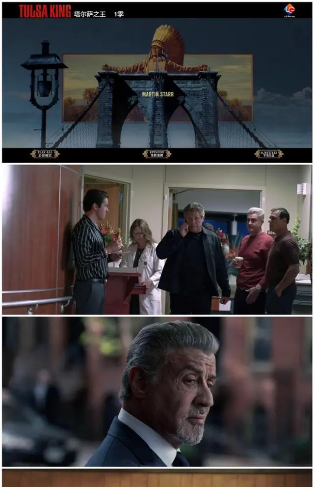 Alt view image 3 of 3 - international version Blu-ray Tulsa King Season 1 (2022) BD English pronunciation English subtitles