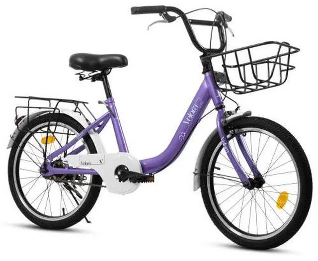 Main image of taoruifang 20 Inch Kids Bike for Boys & Girls, Children's Bicycle with Coaster Brake & V-Brake, 1-Speed, Chain Guard & Rear Rack, Lightweight Steel Frame light camel