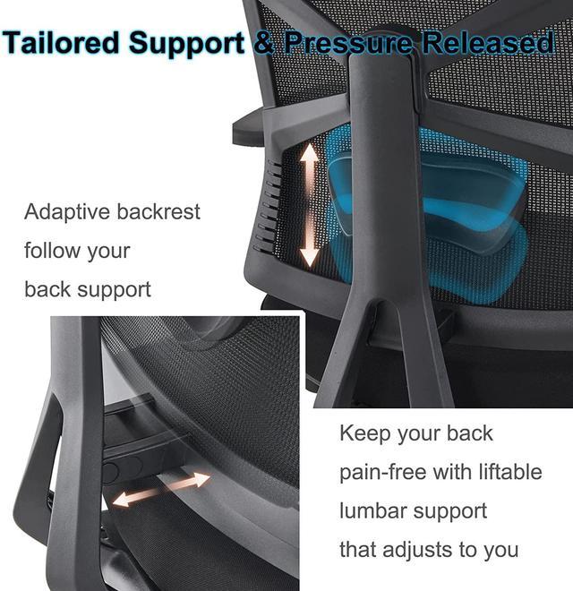 HOLLUDLE Ergonomic Office Chair with Adaptive Backrest review by