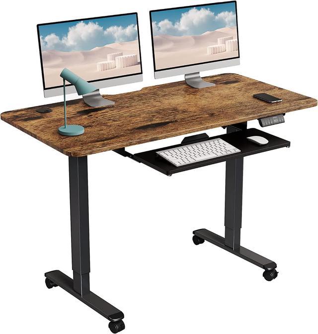 WOKA Electric Standing Desk Adjustable Height, 48 x 24 Inches