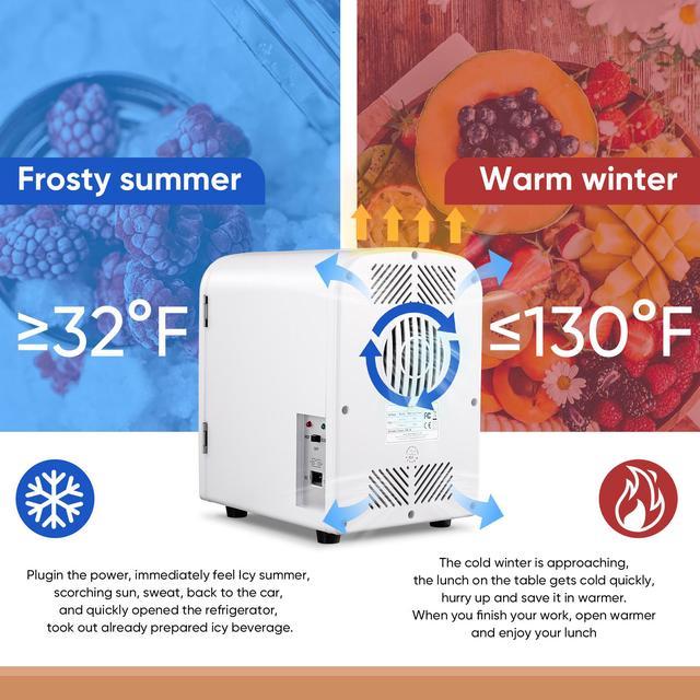 Frosty Mini Frigo