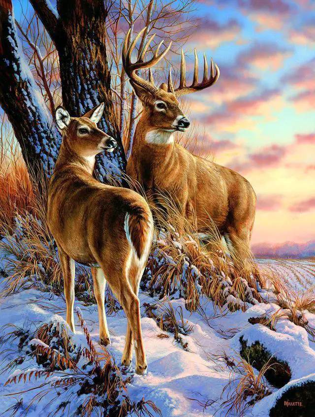 Main image of escapade 500 piece jigsaw puzzle by sunsout