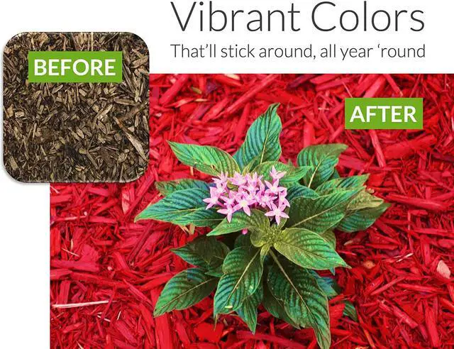 Alt view image 5 of 5 - Peach Country Premium Red Mulch Color Concentrate - 11,200 Sq. Ft. - Pure Red Mulch Dye Spray (1 Gallon, Red)