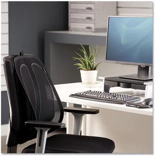 Alt view image 11 of 20 - Fellowes 9191301 Office Suites Mesh Back Support - Black