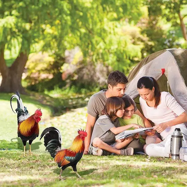 Alt view image 4 of 7 - Yingshan 2PCS Rooster Decor Chicken Statue Outdoor Garden Decoration Yard Art Figure Sculpture