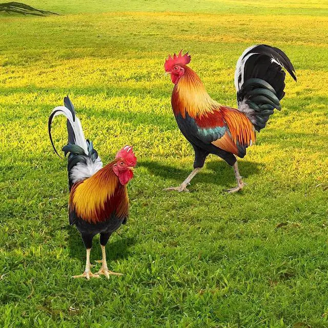 Alt view image 6 of 7 - Yingshan 2PCS Rooster Decor Chicken Statue Outdoor Garden Decoration Yard Art Figure Sculpture