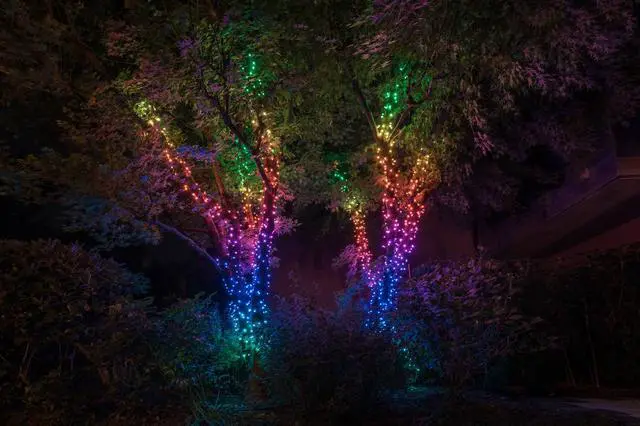 Alt view image 12 of 13 - Twinkly Strings App-Controlled Smart LED Christmas Lights 250 Multicolor & White