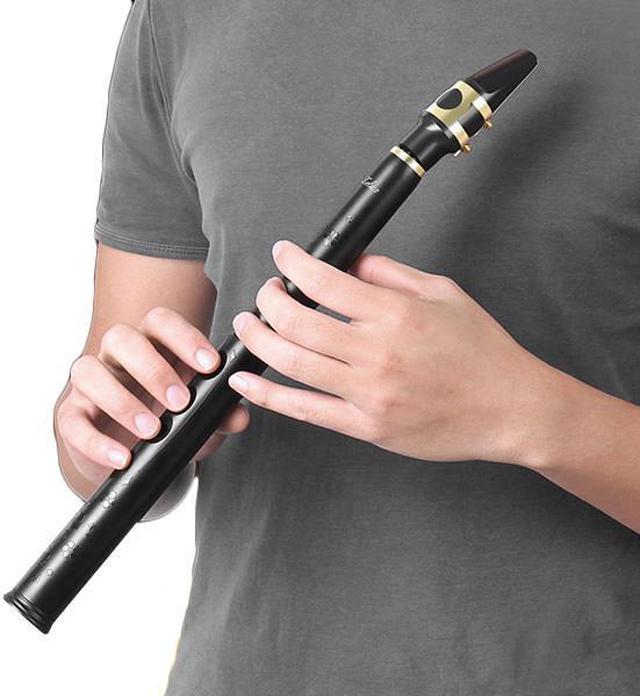 Alto Mouthpiece Mini Bb Sax Pocket Saxophone with 5 Reeds Woodwind  Instruments