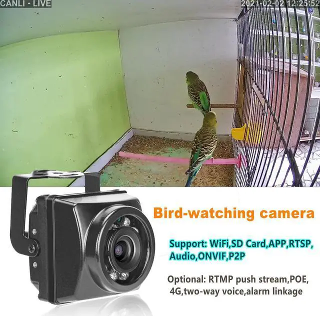 Alt view image 4 of 5 - Outdoor Mini IR IP POE Cameras Night Vision IPC Wide Angle Audio Video Security Camera Surveillance P2P Onvif Bird Cage