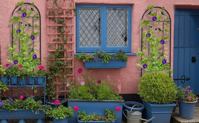 Alt view image 5 of 7 - 2PCS Black  Rustproof Plant Trellis Decorative Metal Garden Fence Support for Outdoor Garden Potted Climbing Vines Flowers Vegetable