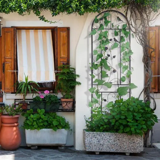 Alt view image 2 of 7 - 2PCS Black  Rustproof Plant Trellis Decorative Metal Garden Fence Support for Outdoor Garden Potted Climbing Vines Flowers Vegetable