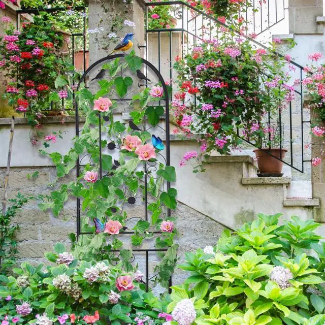 Alt view image 4 of 7 - 2PCS Black  Rustproof Plant Trellis Decorative Metal Garden Fence Support for Outdoor Garden Potted Climbing Vines Flowers Vegetable