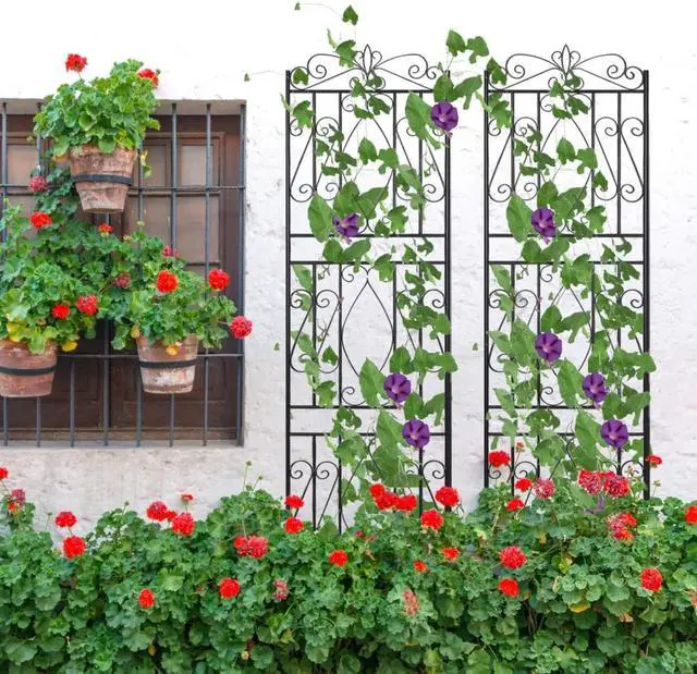 Alt view image 2 of 7 - 6 Panels Rustproof Garden Trellis for Climbing Plants,  71.6'' High Metal Climbing Plants Fencing Barrier, Heavy Duty  Garden Outdoor Indoor Potted Plant Support Stand