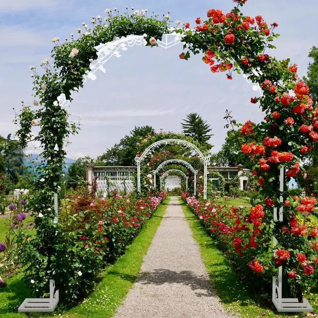 Alt view image 5 of 7 - Large Outdoor Indoor Wedding Arch Stand Wedding Ceremony White Arch Stand