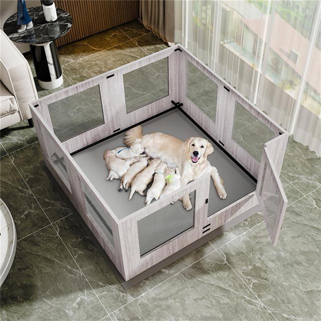 Glass dog outlet playpen