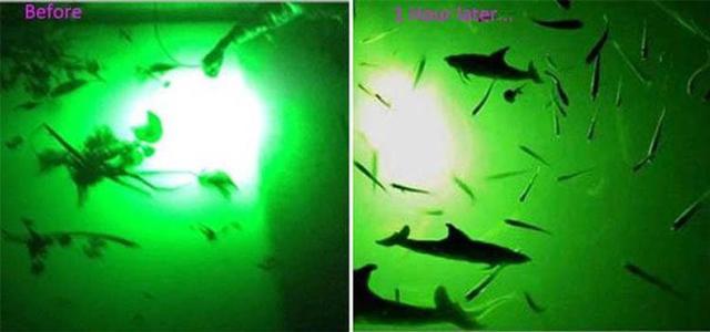 30W LED Green Underwater Submersible Night Fishing Light Boat Squid Fish  Lamp 